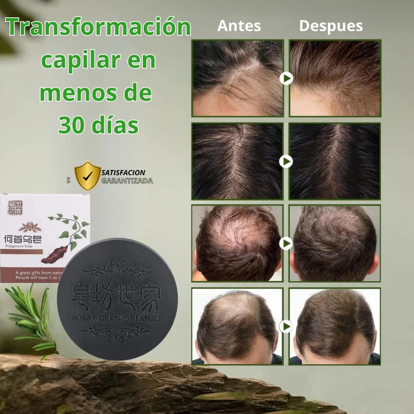 SHAMPOO EM BARRA COM POLYGONUM X3 + REGALO
