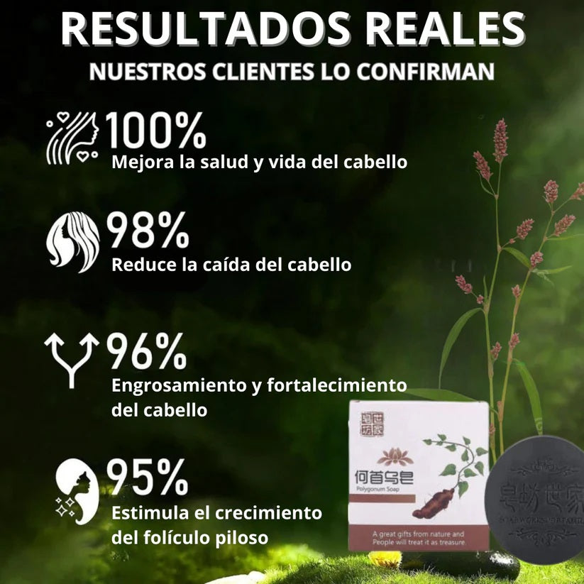 SHAMPOO EM BARRA COM POLYGONUM X3 + REGALO